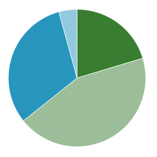 inputdebate_results_pie