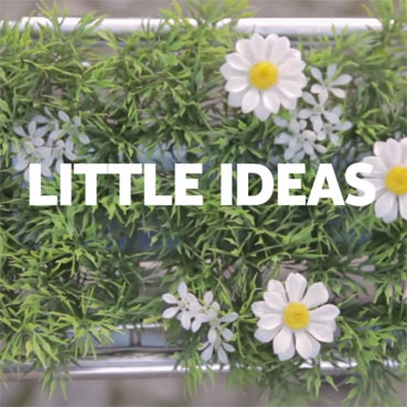 little_feat