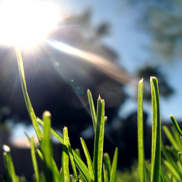 Clear-black-and-super-bright