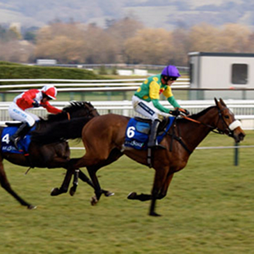 Chelts-chase-365