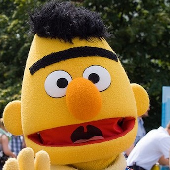 bert