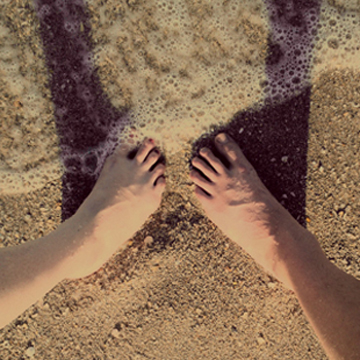 WPbeach360
