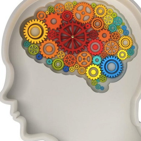brainpower2