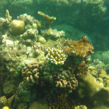 NL800_GBR_360
