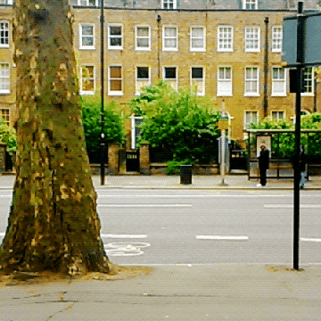 Cinemagraph3_0_360