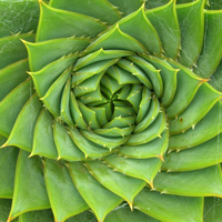 green_sq