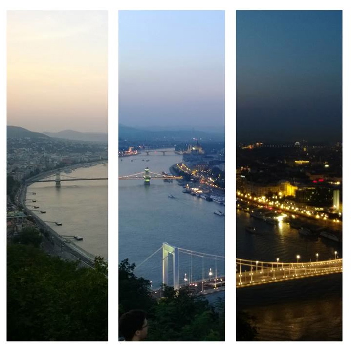 collage2