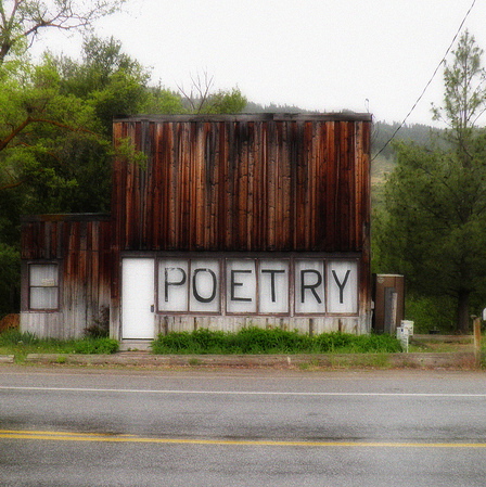 NokaPoetry2