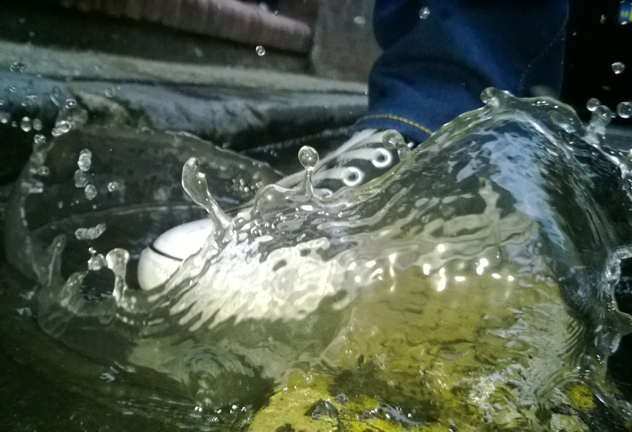 Splash_FI