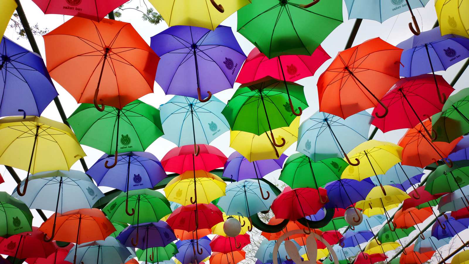 around-the-world-in-80-lumias