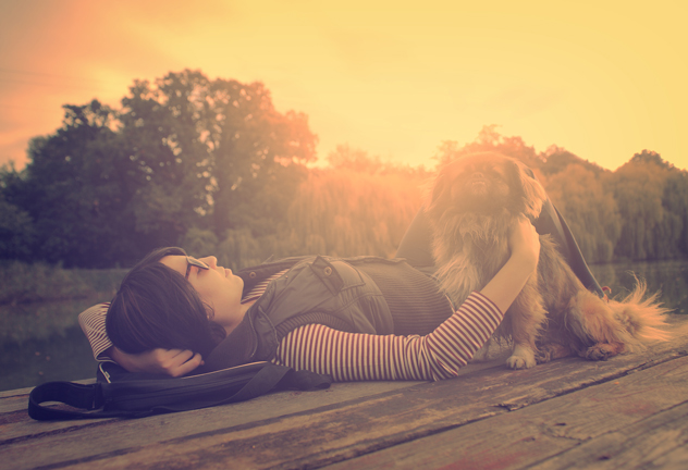 Take-pet-pictures-feat