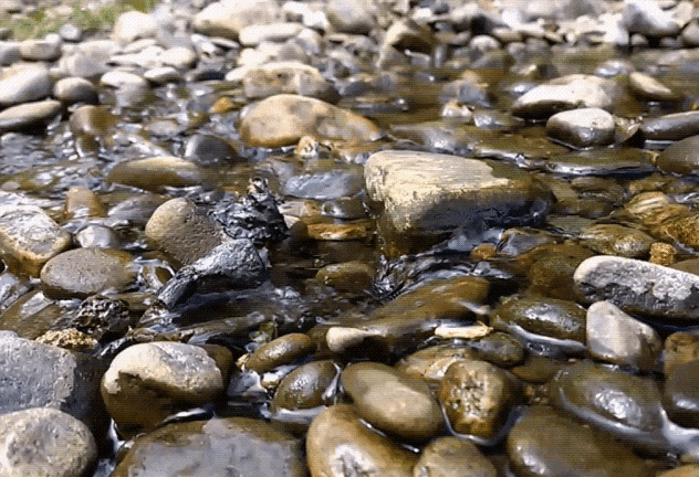 Lumia-shots-7_featured