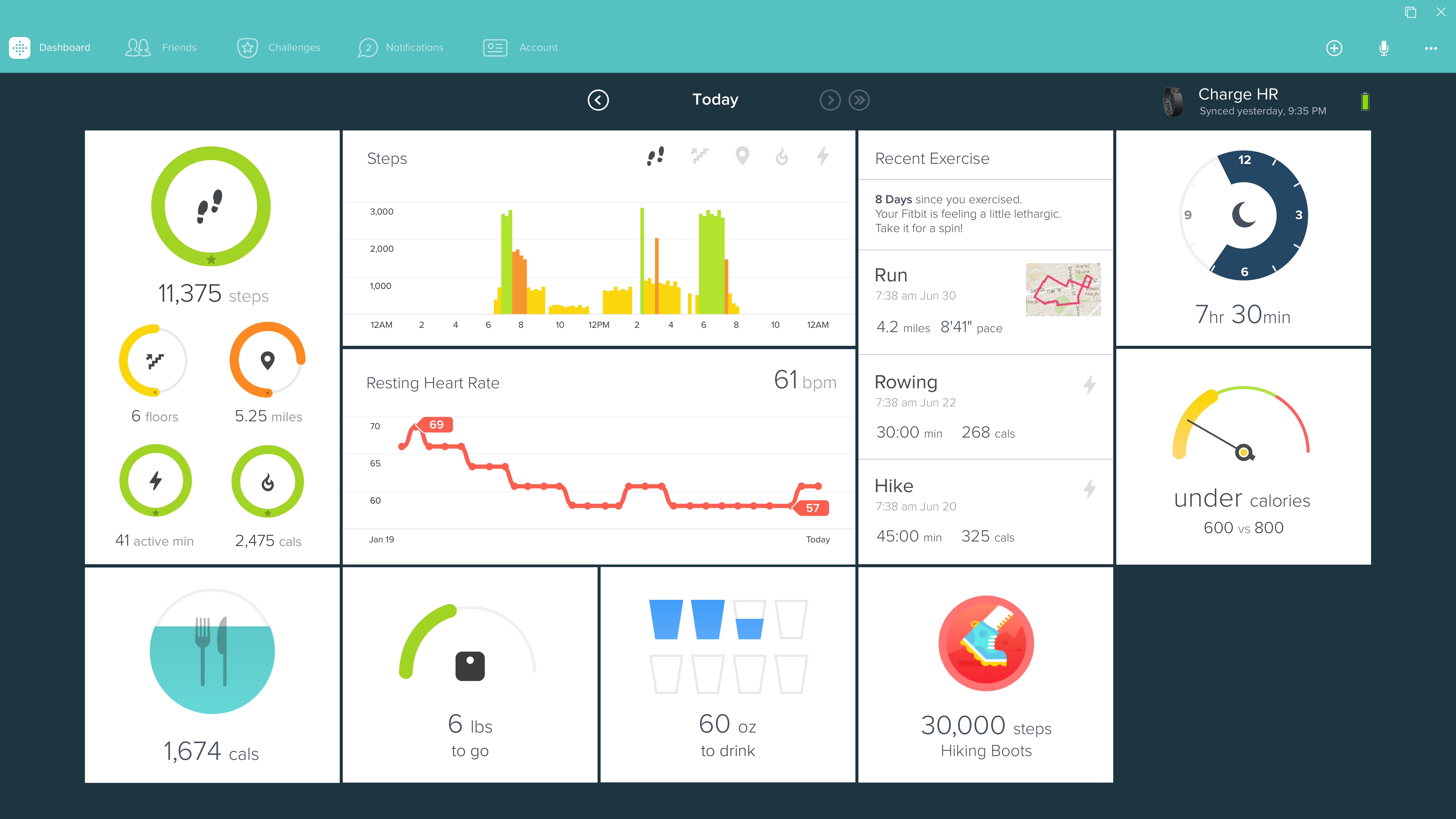 Fitbit-4