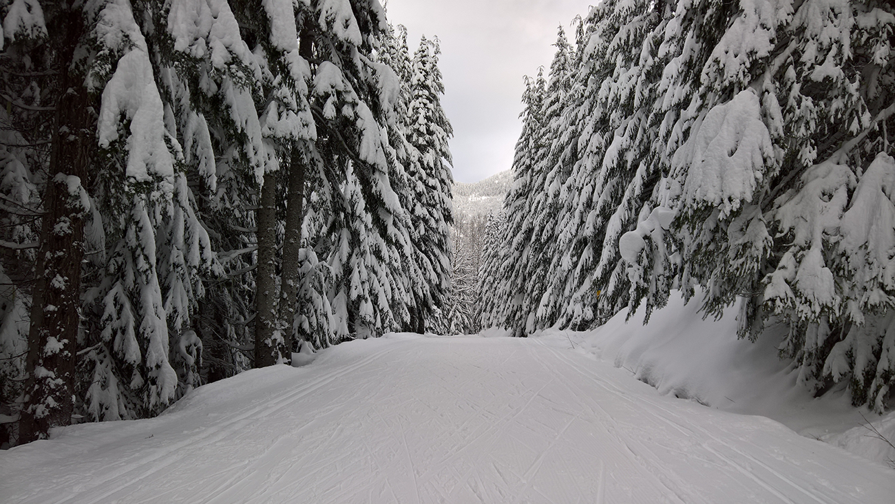 FEAT_StevensPass