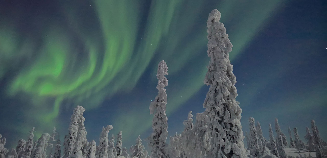 The Aurora Borealis dances in glowing green spirals above treetops near Levi, Finland. Shot with Lumia 950, by Stephen Alvarez.