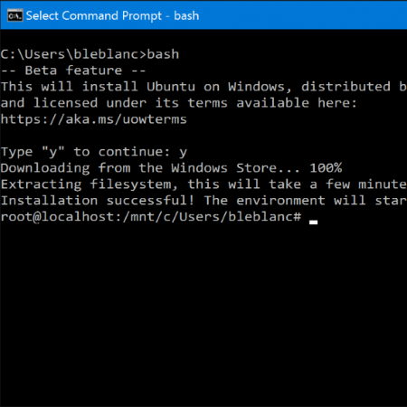 windows 10 bash