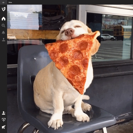 Vine now available for Windows 10 PCs and Tablets Read more at https://blogs.windows.com/windowsexperience/2016/05/04/vine-now-available-for-windows-10-pcs-and-tablets