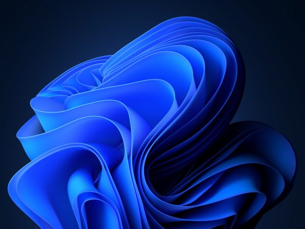 Dark Windows 11 Bloom Screensaver