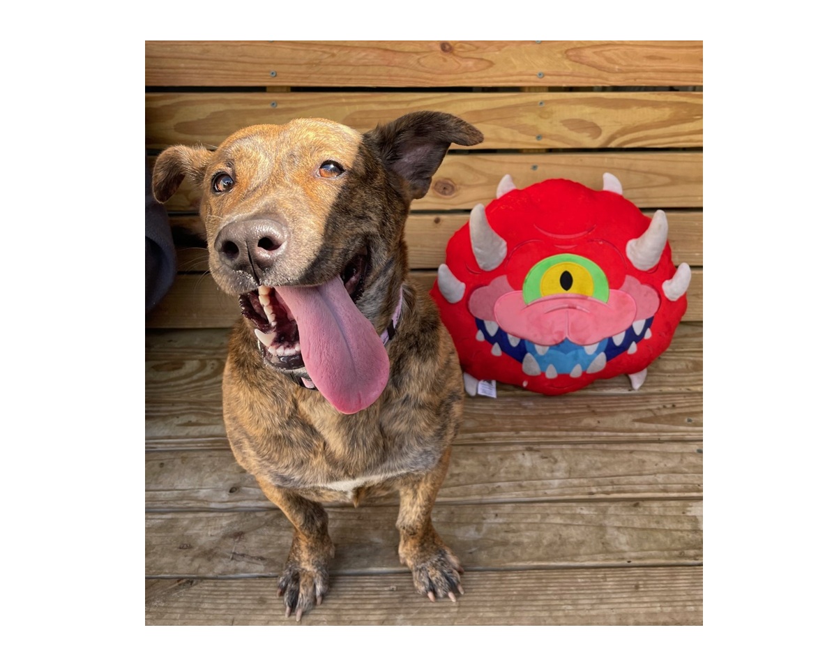 DOOM: The Bark Ages supports animals and celebrates game