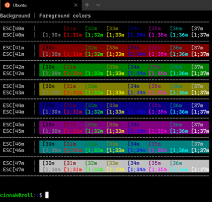 Computer screen showing Windows Terminal.