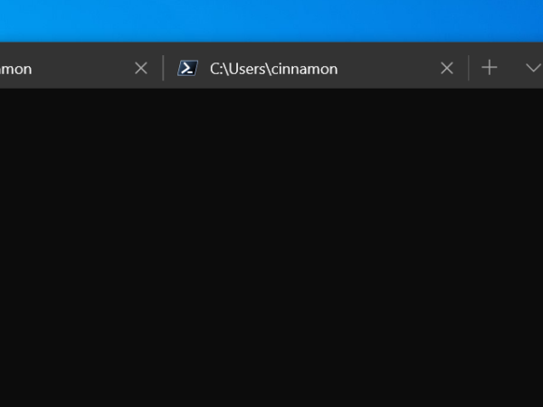 Terminal Blog Uncategorized Archives - Page 7 of 7 - Windows Developer Blog