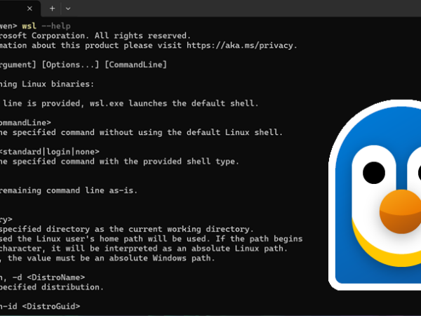 Computer code next to image of penguin.