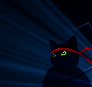 Windows 10 忍者猫