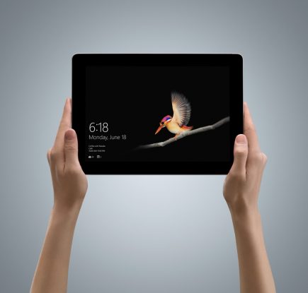 鳥の写真のディスプレイのSurface Go が両手で掲げられている