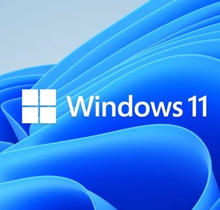 Windows 11