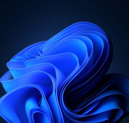 Windows 11 Bloom