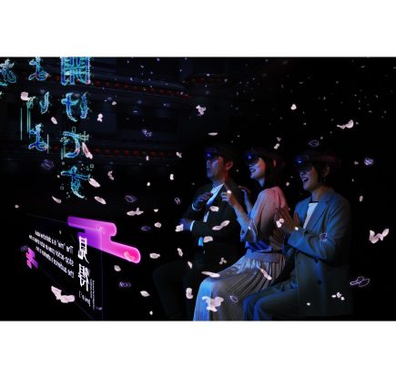 People using virtual reality hardware