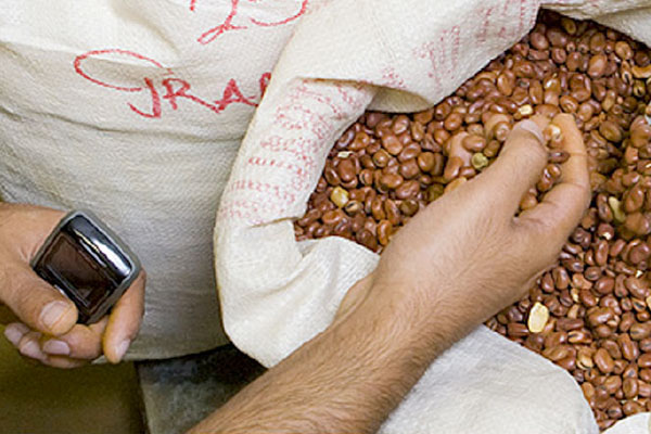 Nokia Life Tools opens side door to the Internet in rural India and beyond... via SMS!