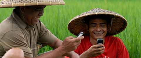 Nokia-Life-Tools-Indonesia