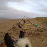 Av. Conde da Boa Vista