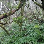 the day i forgot my camera IV