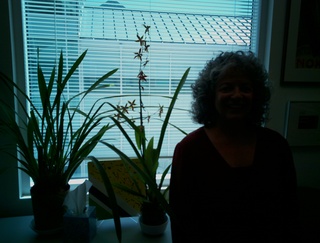 HDR_2010319_1240_input1_small_1