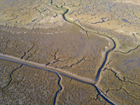 Mudflats, Blackshaw, Dumfries and Galloway