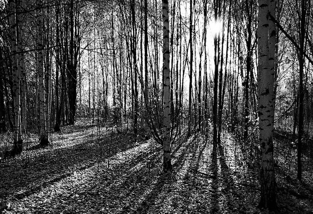 Tommi Vainionpaa Nokia Lumia 1020