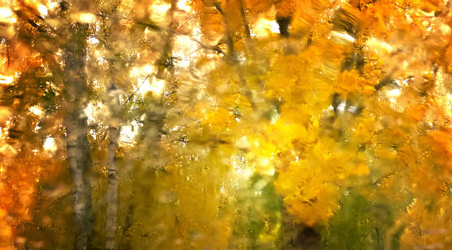 Tommi Vainionpaa Nokia Lumia 1020