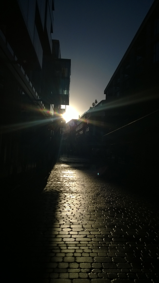 Sunlight