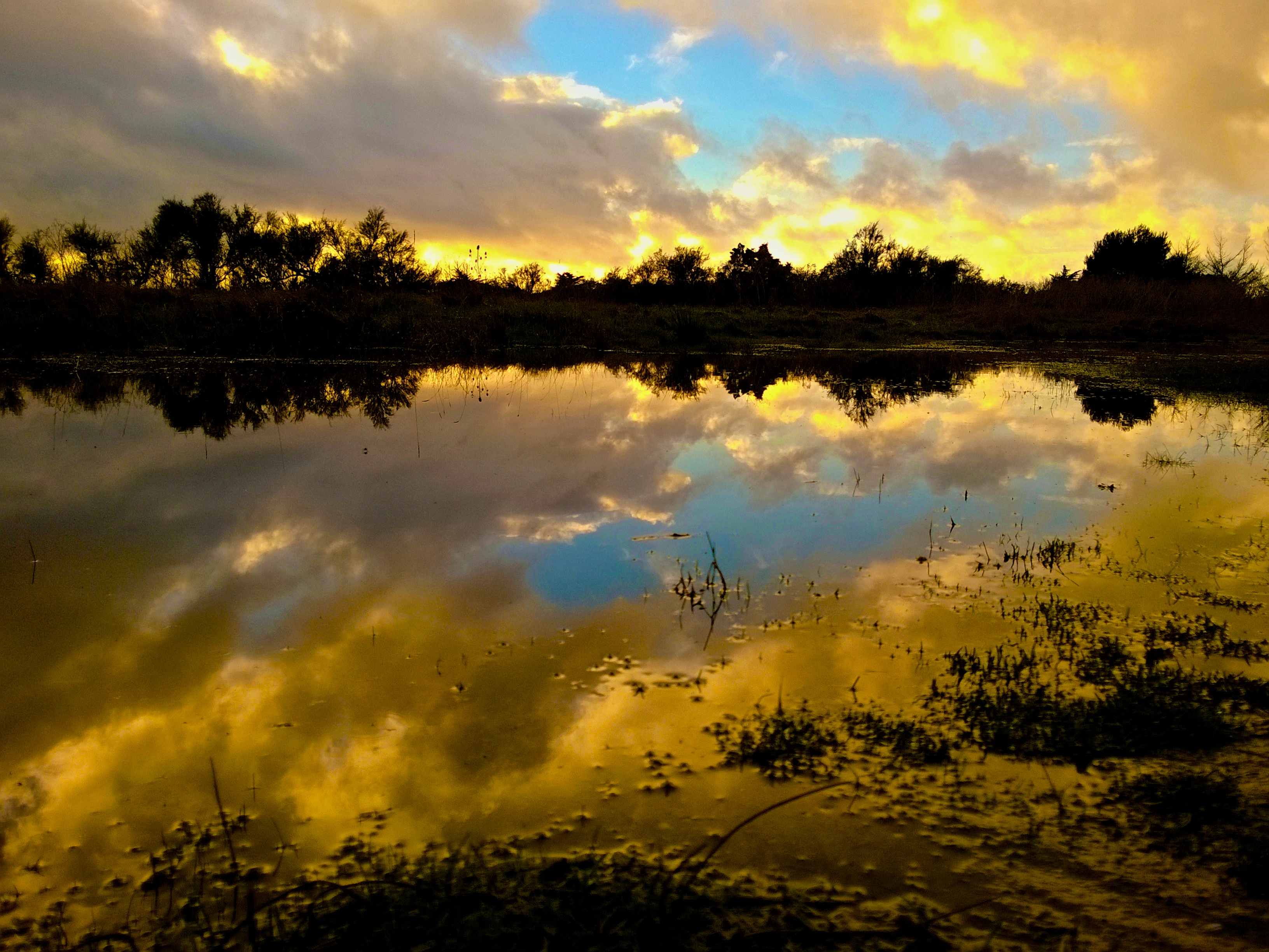 NokiaLumia920France8