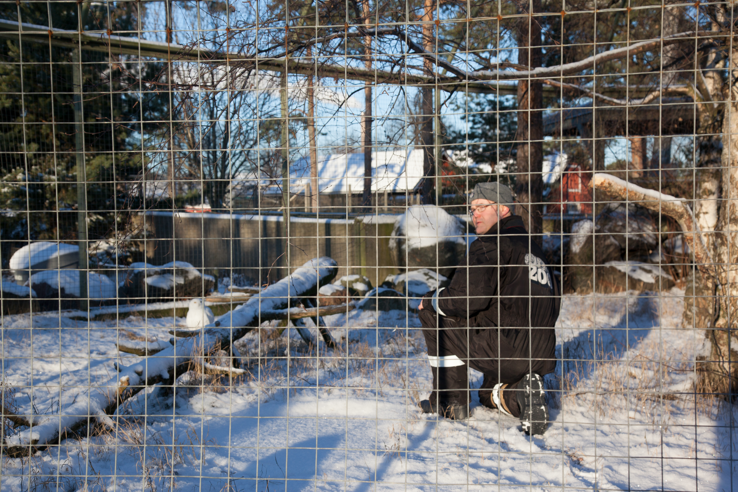 MVC-OCTOBER-HELSINKI-ZOO-CAGE