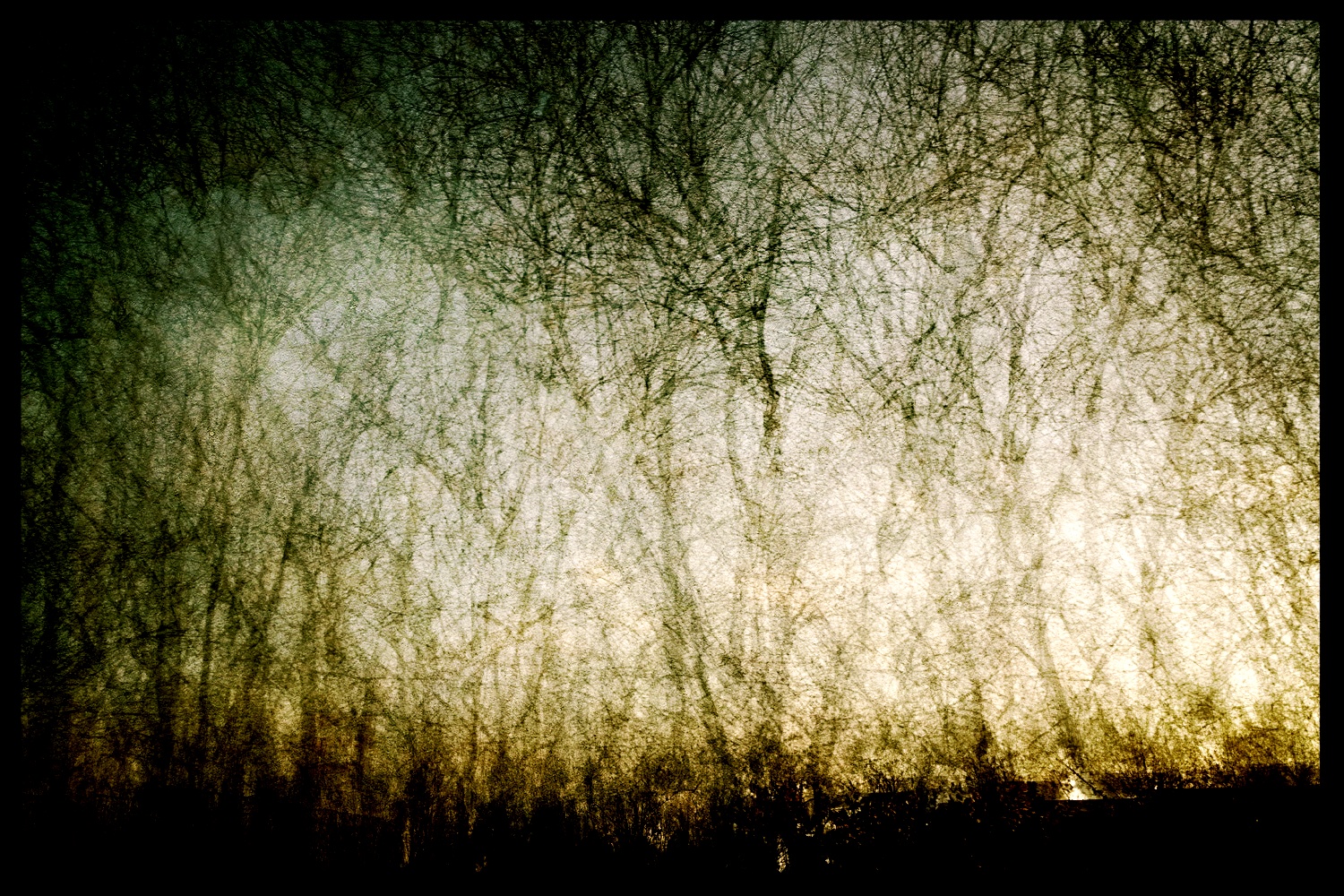 Mystical (LazyLens 20131206 041325 HD)