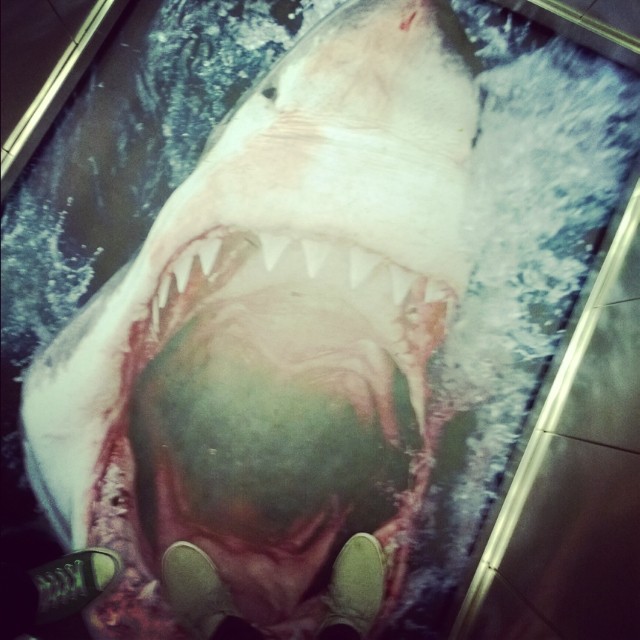 NokiaLumiainstagram5