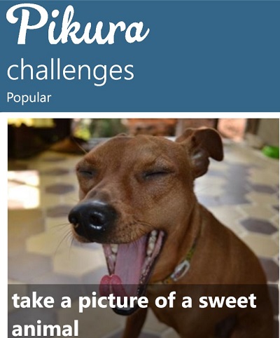 Pikura_400