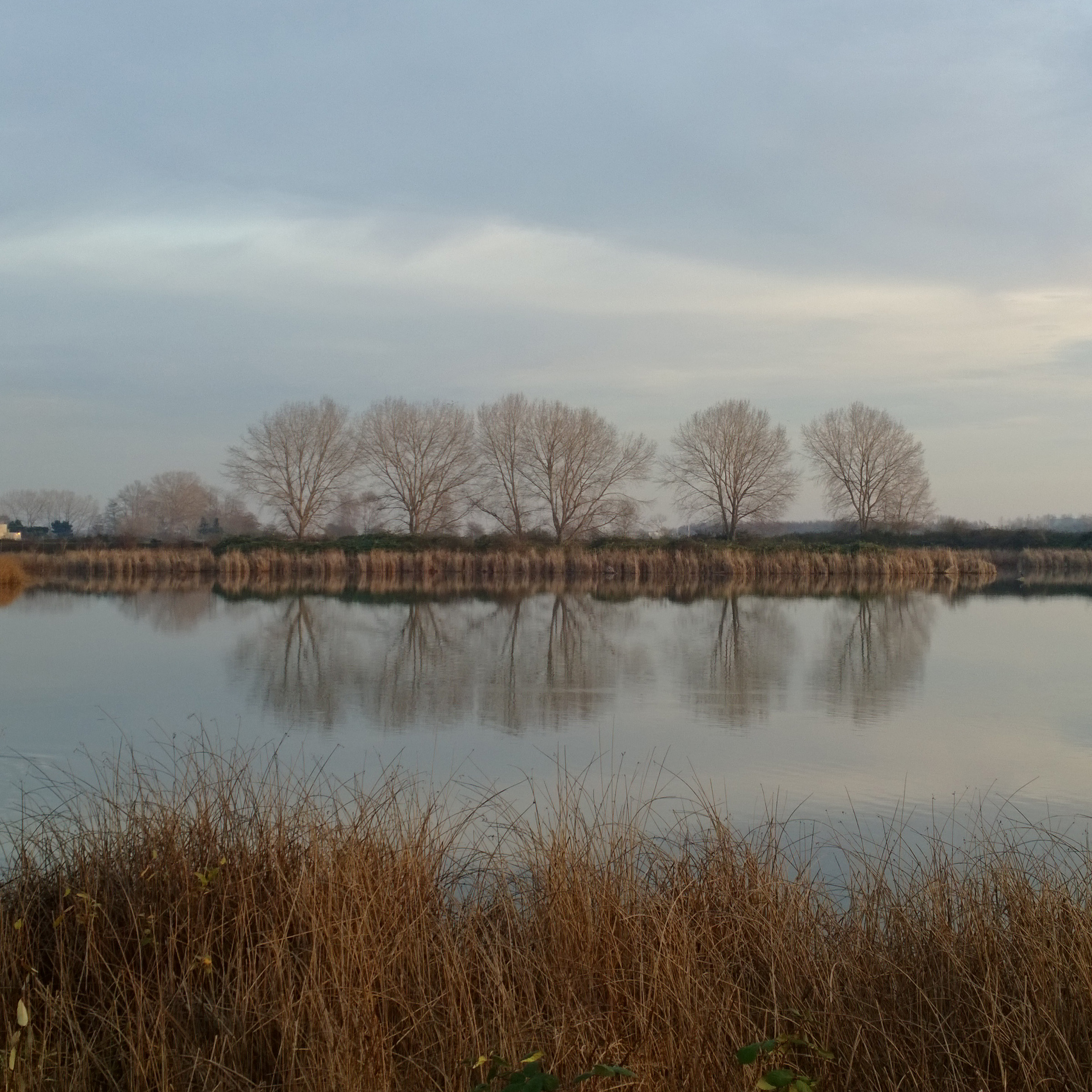 WP_20131125_16_06_12_Pro__highres_crop