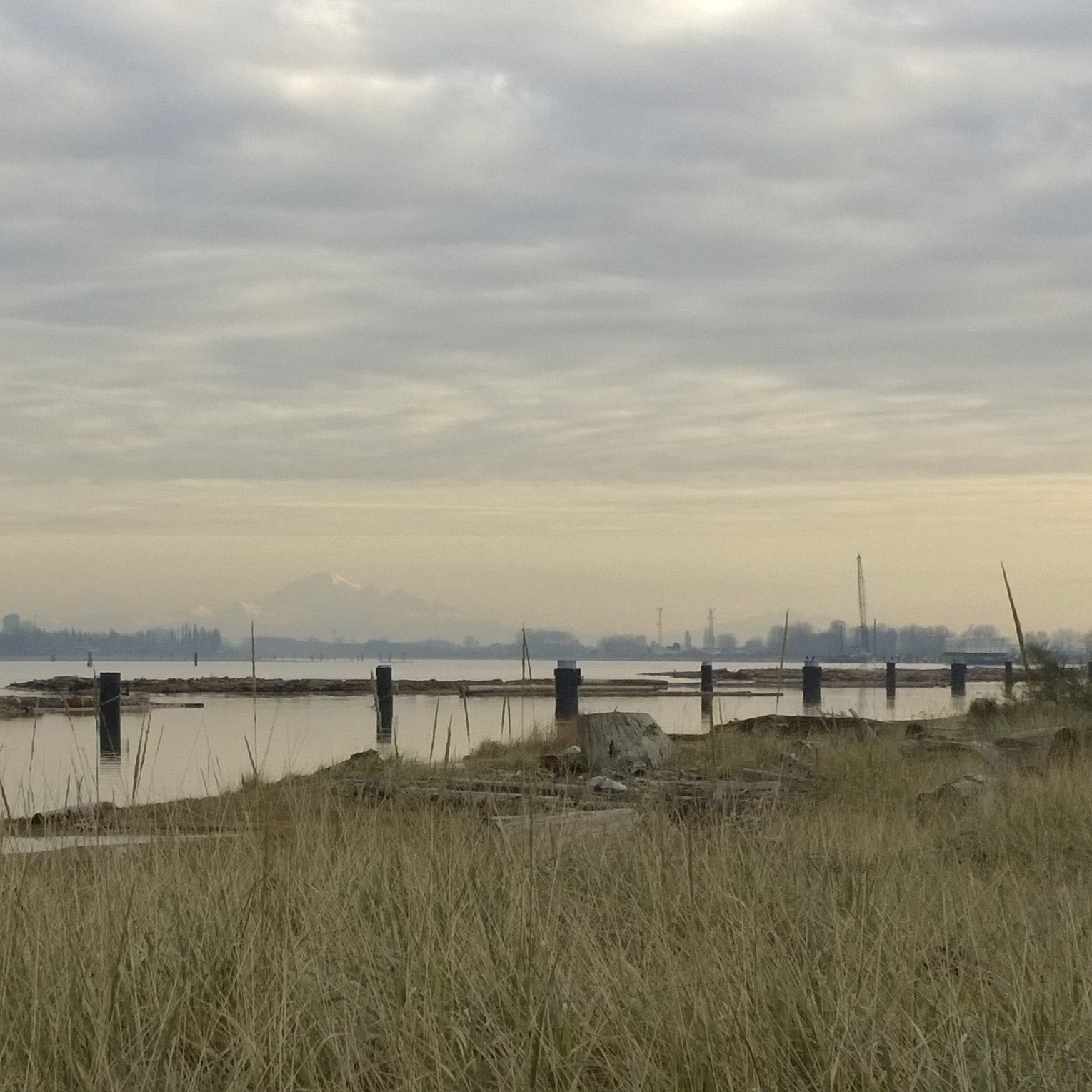 WP_20131128_12_12_56_Pro__highres_crop2