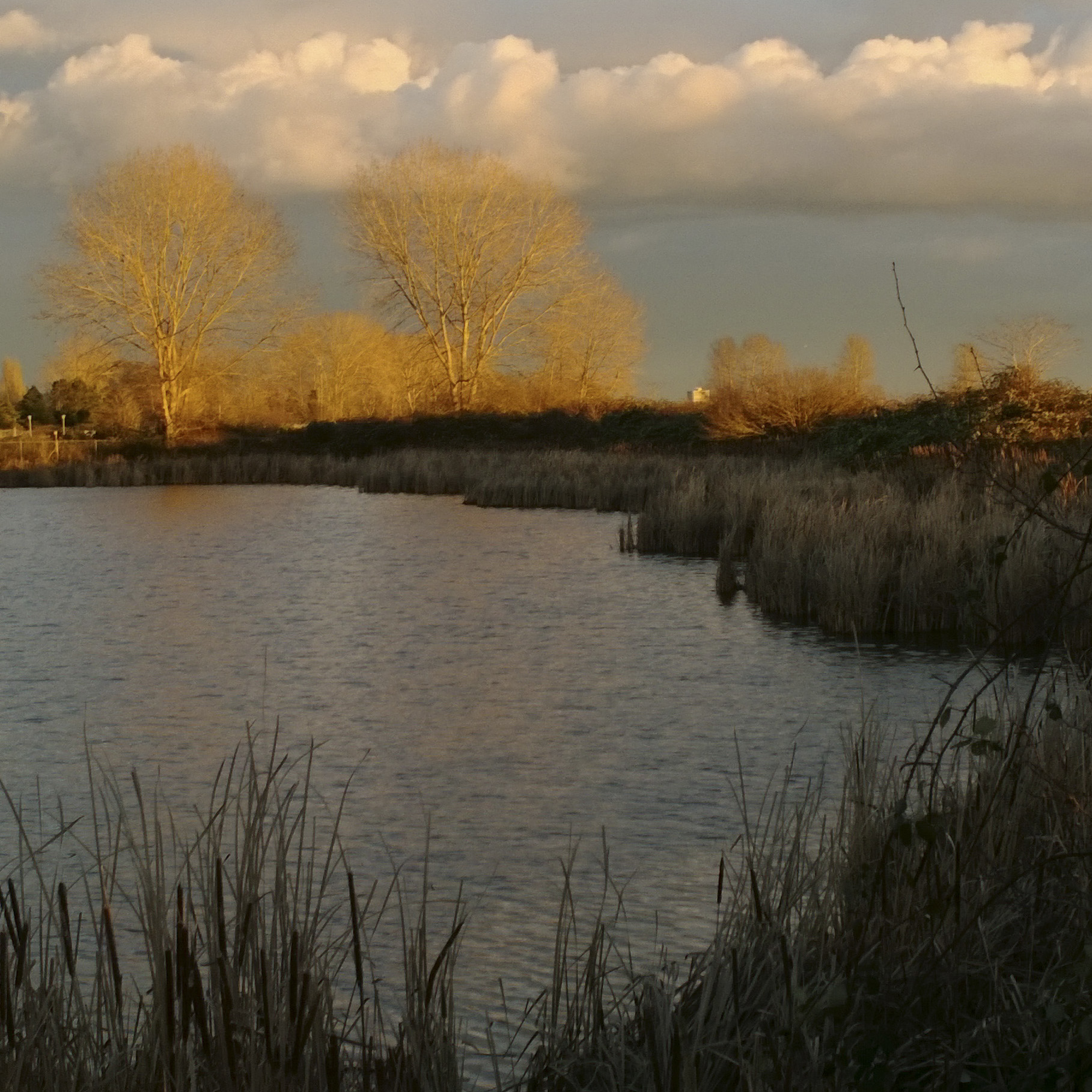 Mark-Simone-Nature-Canada