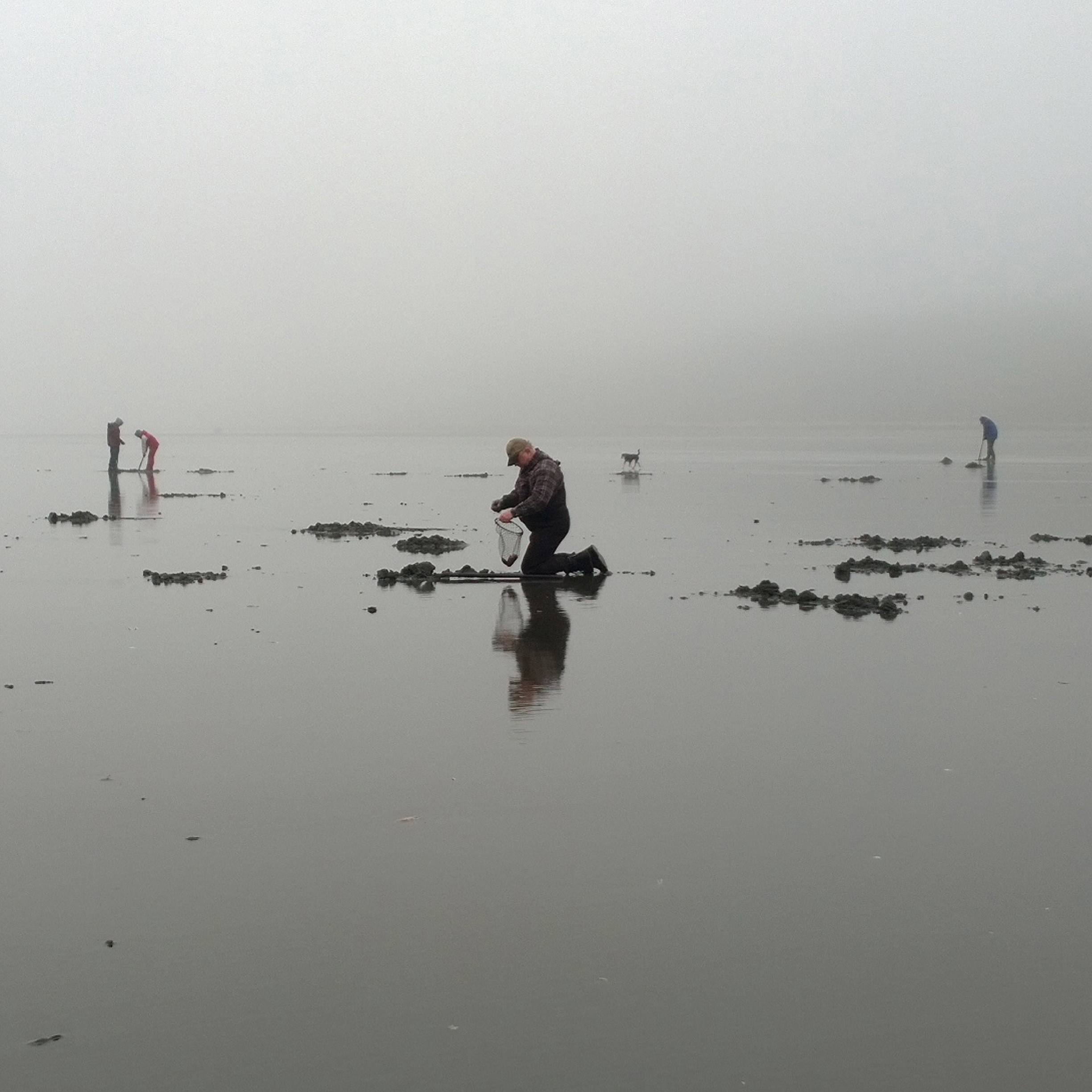 clamming at mockrocks beach. -1