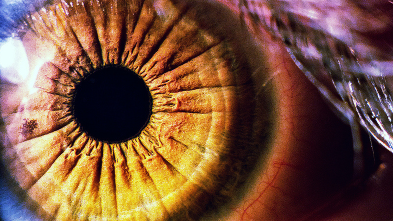 MVC-DECEMBER-DAVE-DETKO-EYE